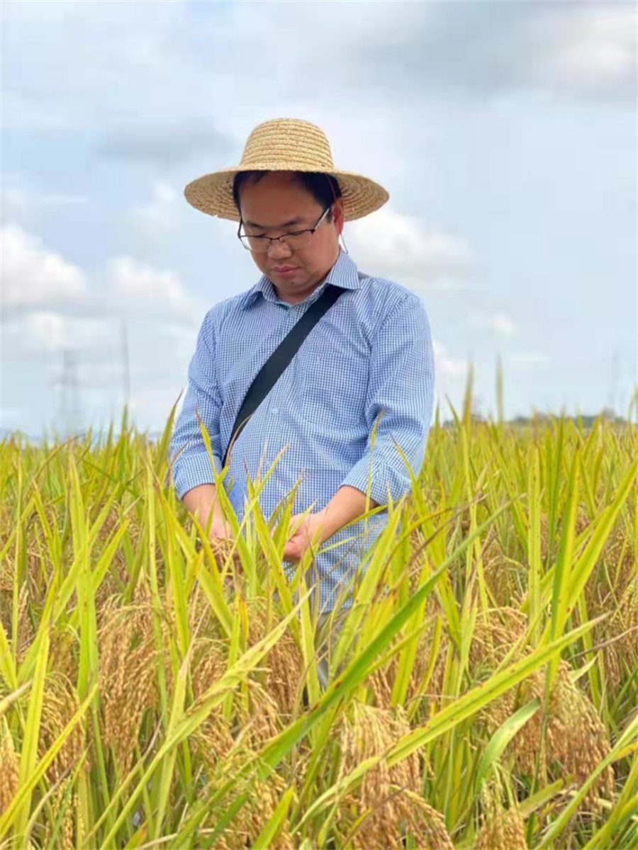 省直机关一批青年典型荣获“中国青年五四奖章”“湖北青年五四奖章”荣誉称号(图2)