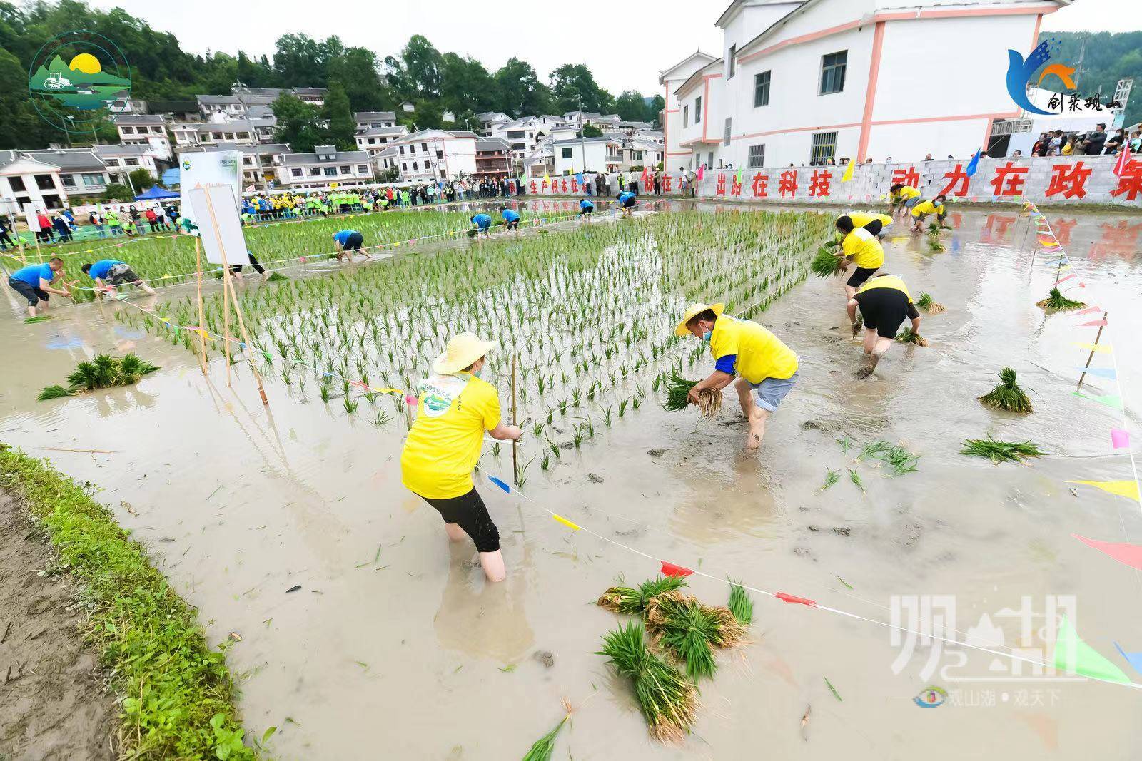 看“新农人”同台竞技 观山湖区首届乡村振兴农技大赛在百花湖畔打响(图4)